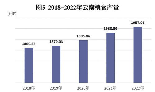云南省2022年國民經(jīng)濟(jì)和社會(huì)發(fā)展統(tǒng)計(jì)公報(bào)解讀與咨詢服務(wù)啟示